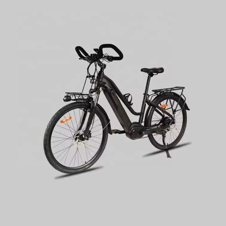 26 Inch Road E Bike 48V 31Ah Lithium Battery 250W Electric Bicycle For Ladies