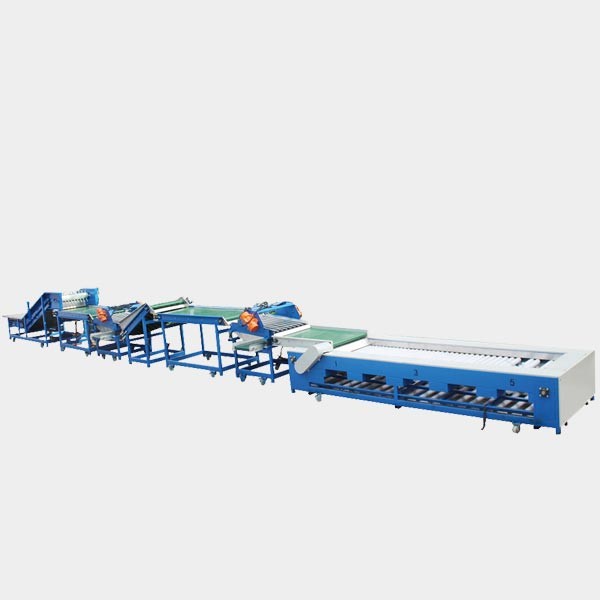 SUS304 Dates Nuts Tomato Round Fruit Grading Machine