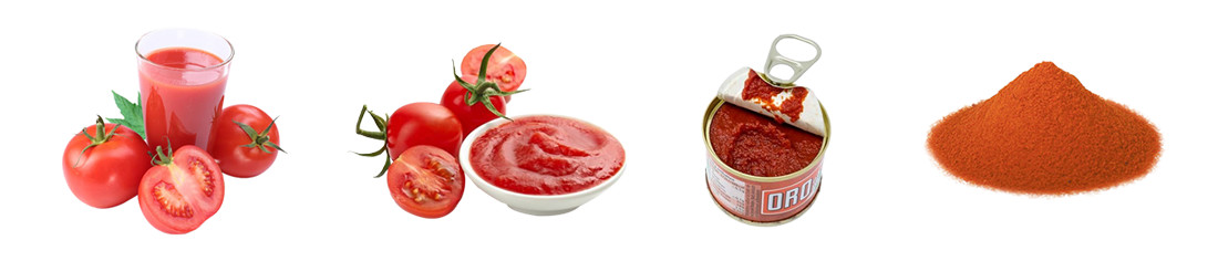 SS304 200T/D Aseptic Filling Tomato Production Line
