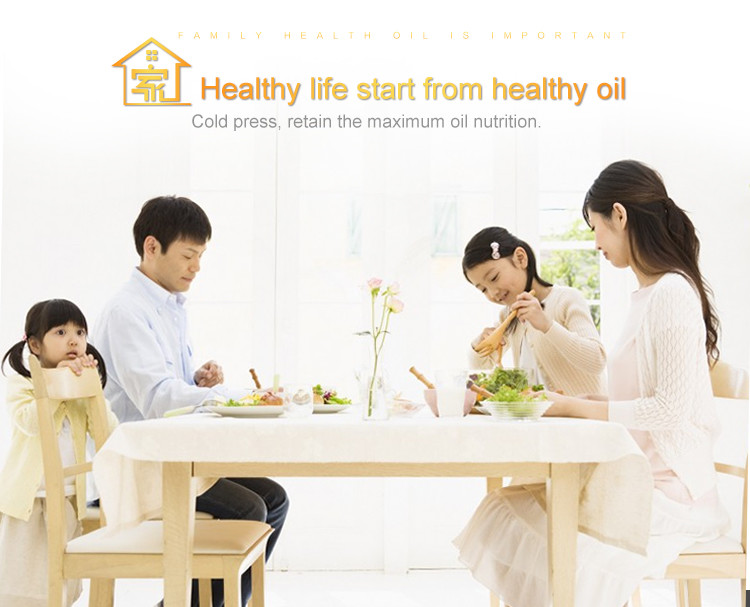 Best selling cold press oil machine and mini oil press machine in China supplier