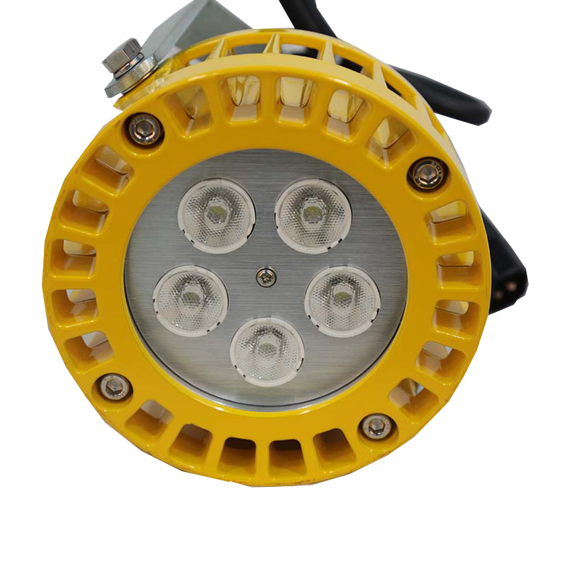 IP66 Waterproof 30W LED Loading Dock Light 3000 Lumens