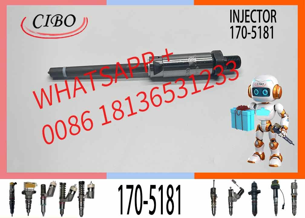Fuel Injector 7W7045 0r-3591 170-5181 For Excavator Engine 3306b 3306 973 973c