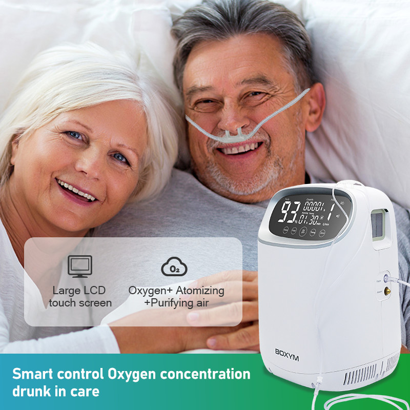 PSE 2L Portable Lightweight Oxygen Concentrator Small IMD Panel Intelligent Control