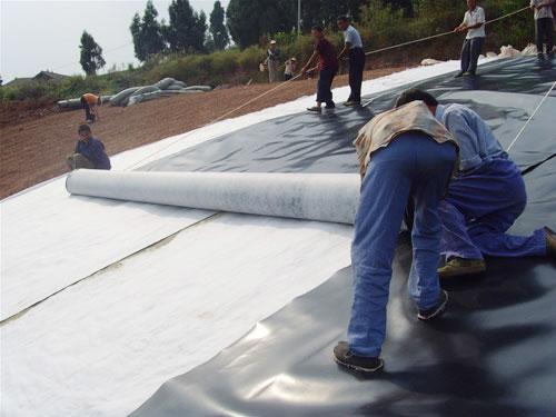 High Density Waterproof HDPE Geomembrane for Black Outdoor Shrimp Pond Fish Pond Liner