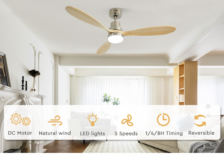 ceiling fan