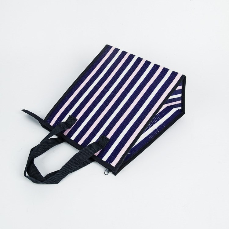 XTX High quality insulated picnic lunch bag food cooler