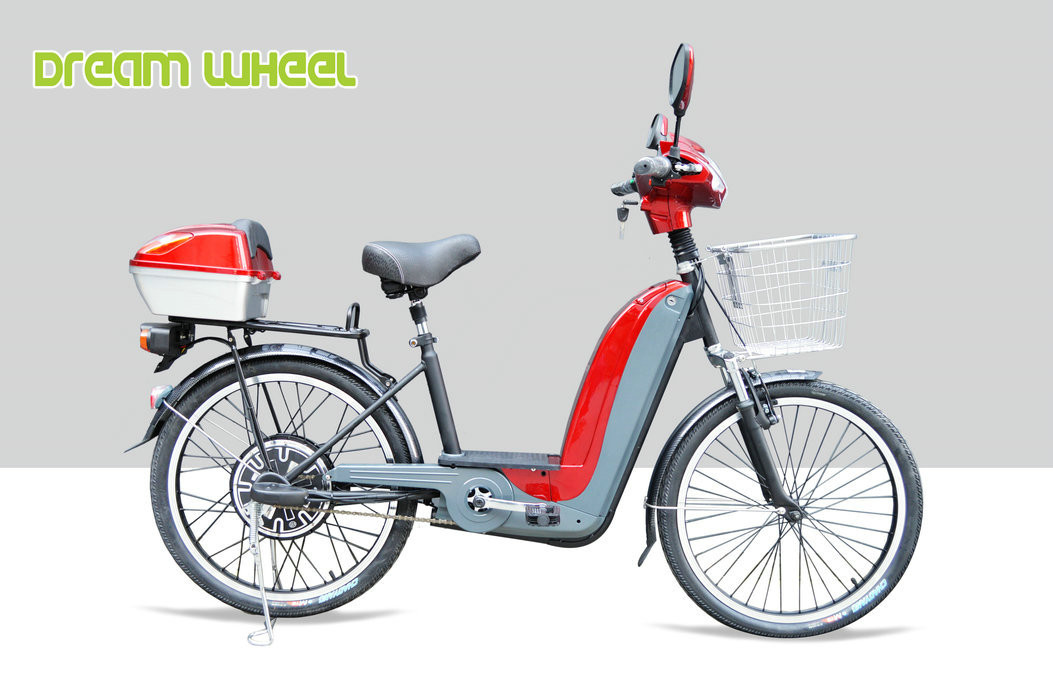 36V 350W Pedal Assist Electric Bike 24 Inch Wheel V Brake Rear Brushless Motor