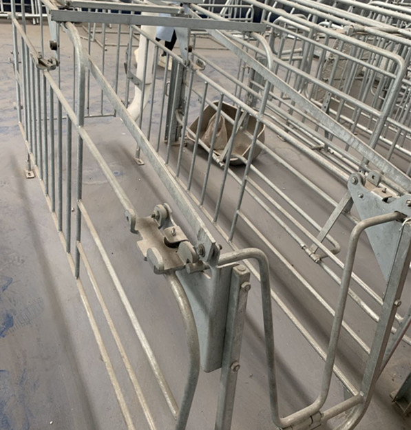 0.65m/0.60m Width Pig Raising Equipment Farrowing House For Pigs Acid Resistance