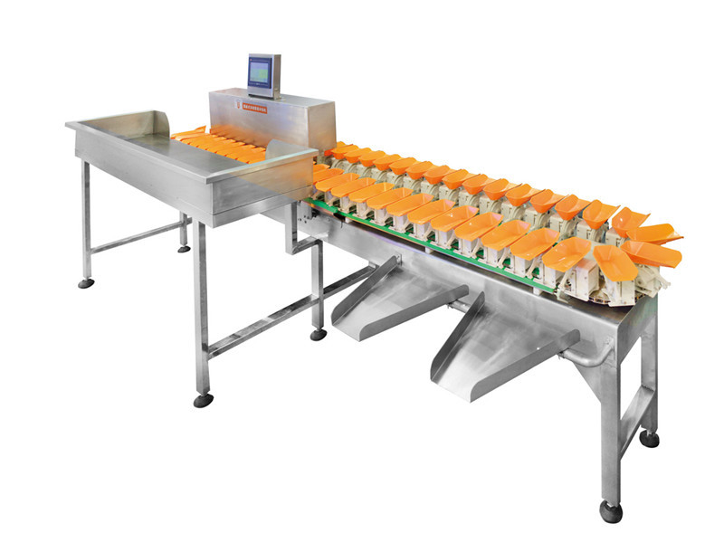 Fresh Food Automatic Weight Grading System Conveyor Fruit Fish Weight Sorting Machine