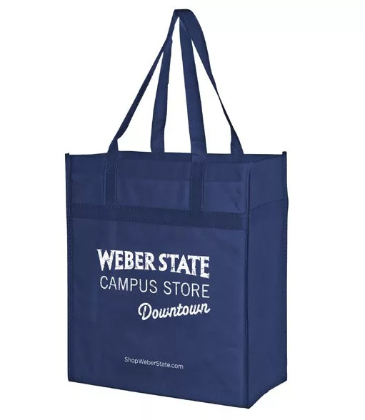 PP Woven Plastic Shopping Bag