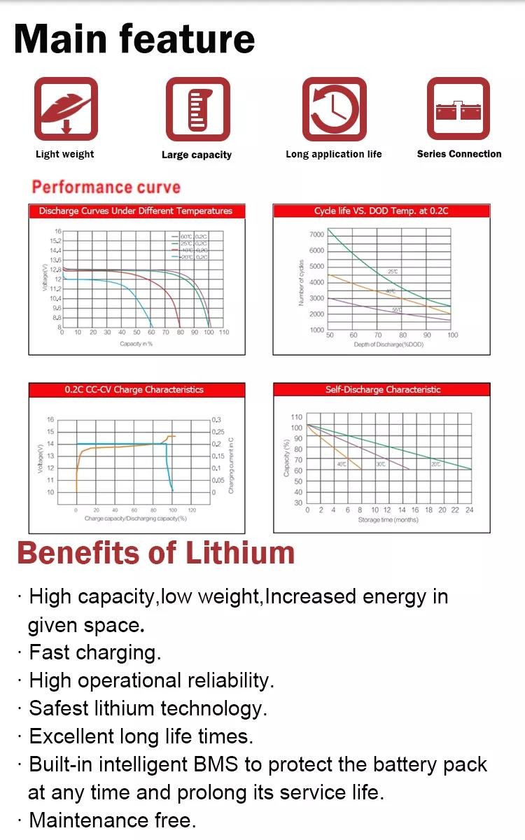 ROHS Long Lifespan Lifepo4 Lithium Ion Battery 12v 10ah Power Tools