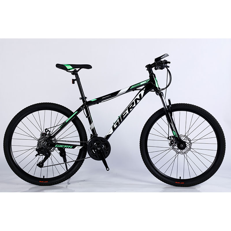 Sport Bike Customized Color Logo Customized Logo Cycle Mountain Bike