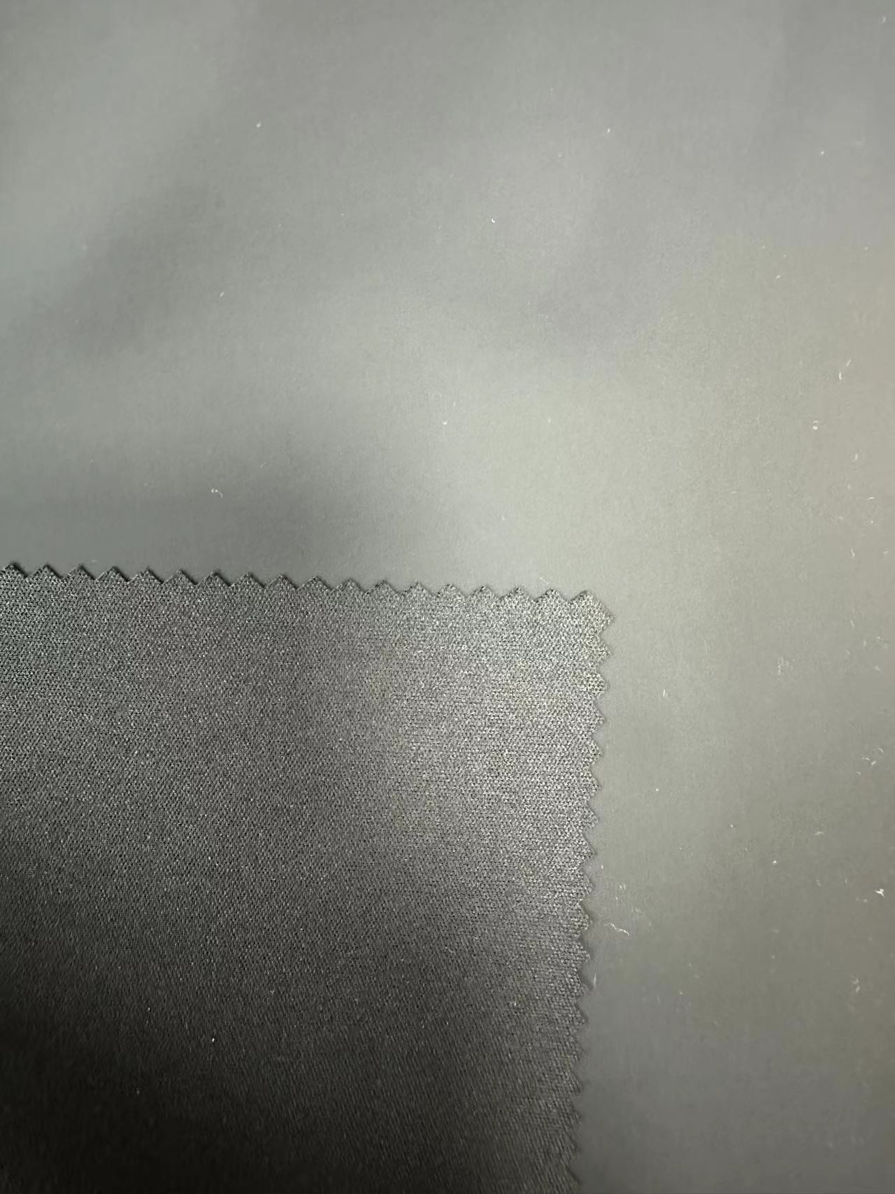 75D*75D 100%P 209GSM Polyester fabric
