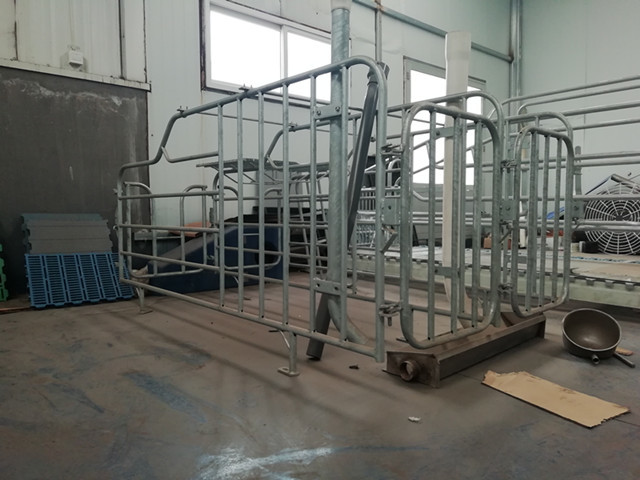 Durable Free Stall Farrowing Pens Swine Equipment With Thermal Box