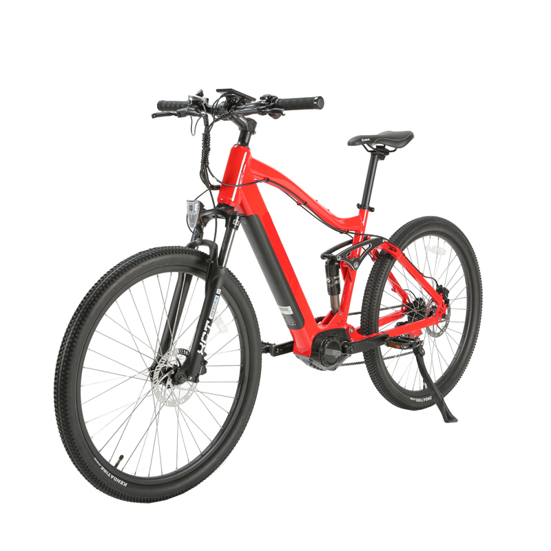 48V 10.5Ah Battery EMB20 Mid Drive Bafang Motor Electric Fat Bike with 700C Wheel Size