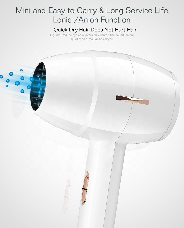 Axial Flow Dual Voltage Electric Hair Dryer For Travel Home Use