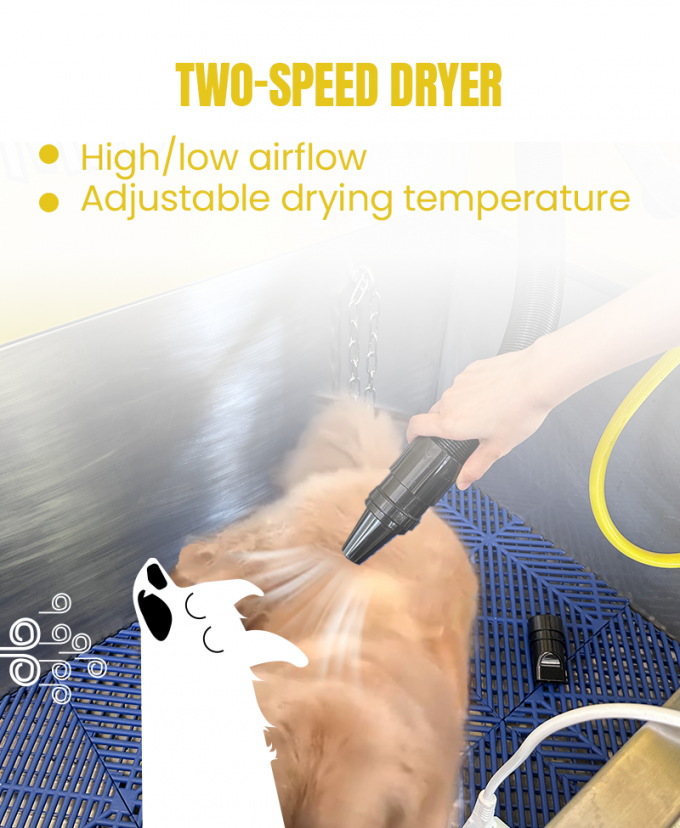 Durable Self Service Vending Machines Designed for Outdoor Dog Wash with Adjustable Hot Water Temperature and Two Speed Dryer