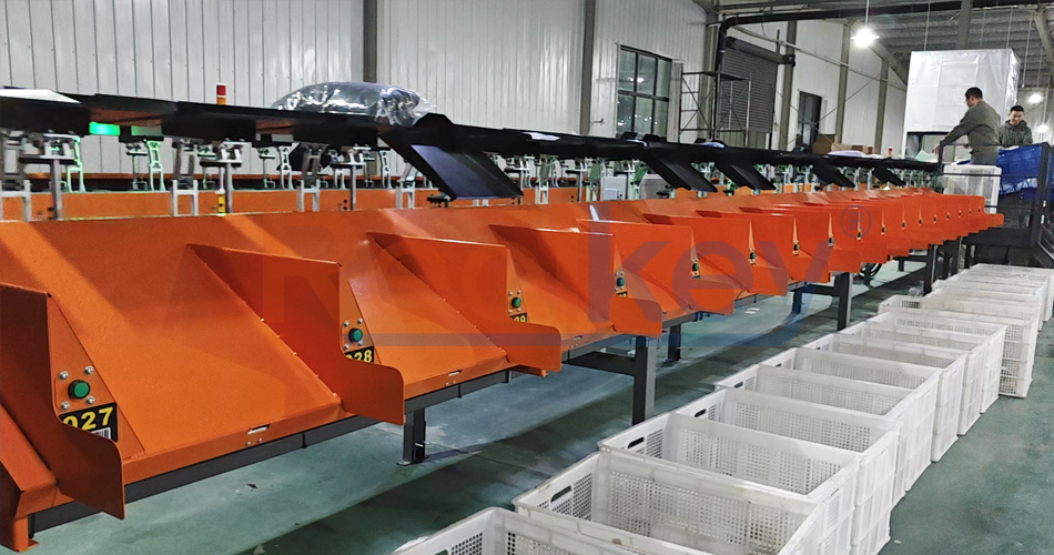 Efficient Operation Tilt Tray Sortation Machine Suitable For Various Items Space Saving