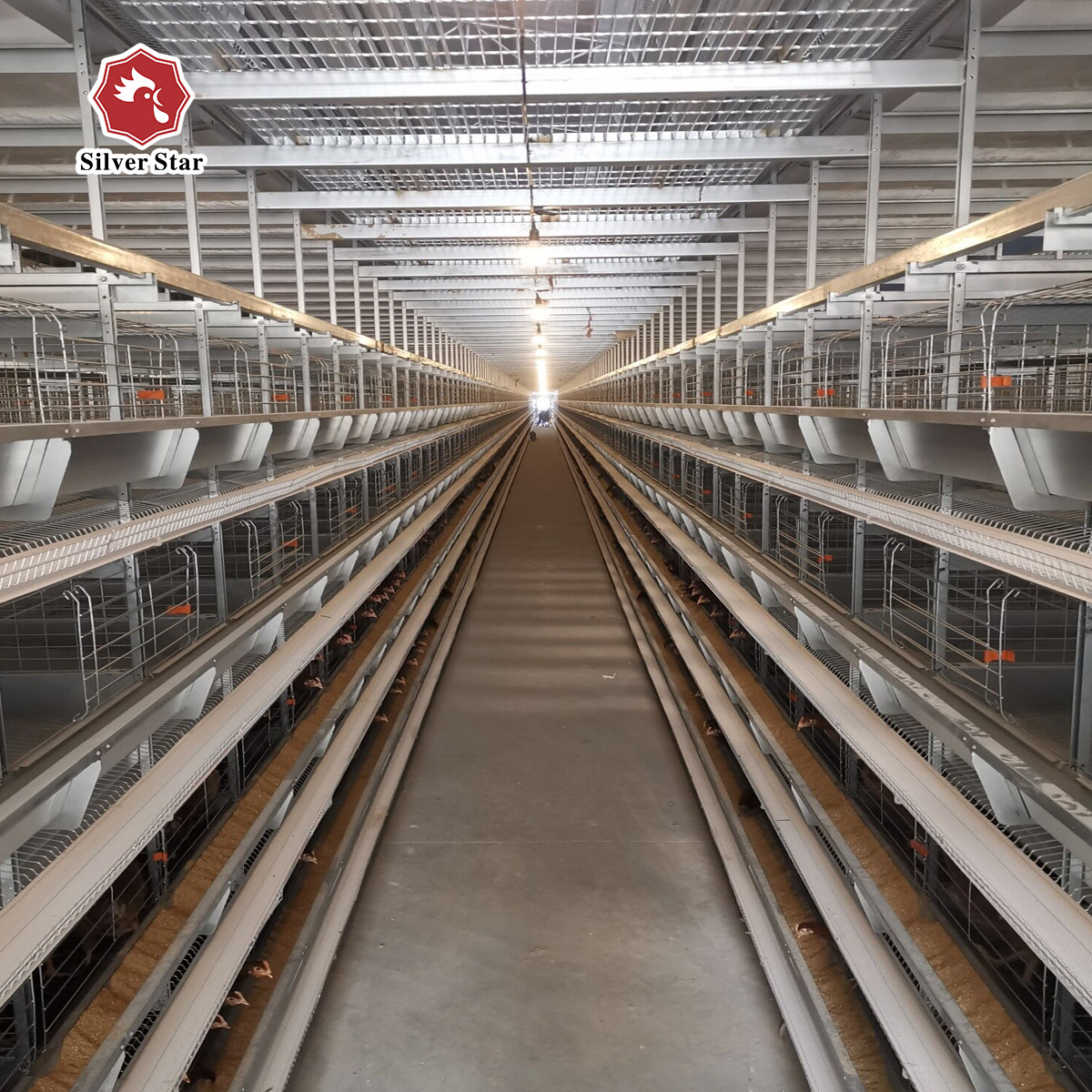 H Type Poultry Equipment Automatic Battery Cage System 9 Layers / Cell