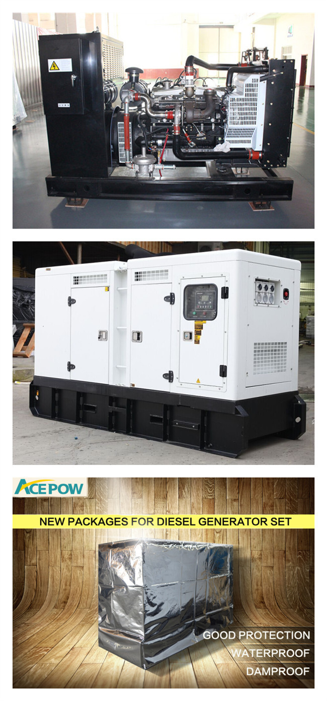 40KW 50KVA Natural Gas Standby Generator , Natural Gas Powered Electric Generator