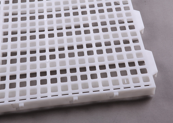 PP Raw 1.2*0.5m Plastic Slatted Floor