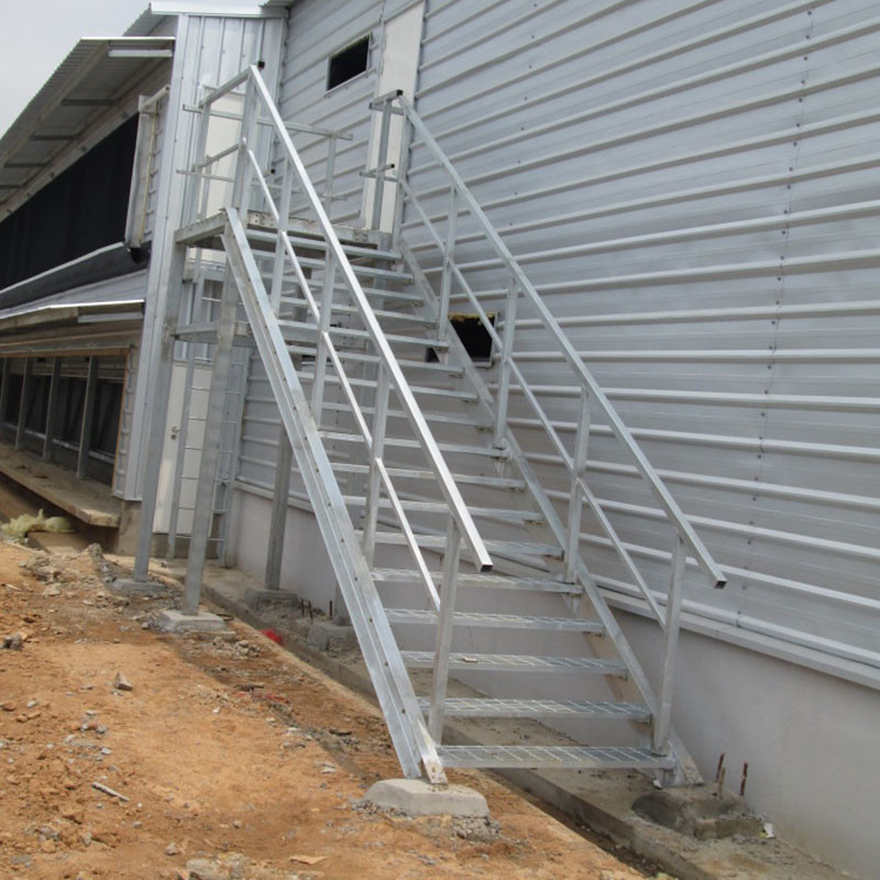 Multi Storey Two Storey Steel Structure Building Chicken Farm House