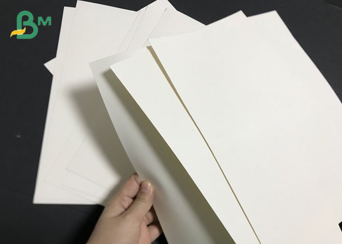 PE 1S 2S Laminated 270grams 300grams Bleached Cup Stock Board Rolls 36inches