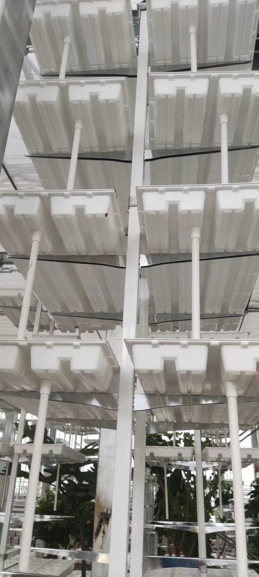 Vertical Farming Hanging Plant Hydroponic Intelligence Farming
