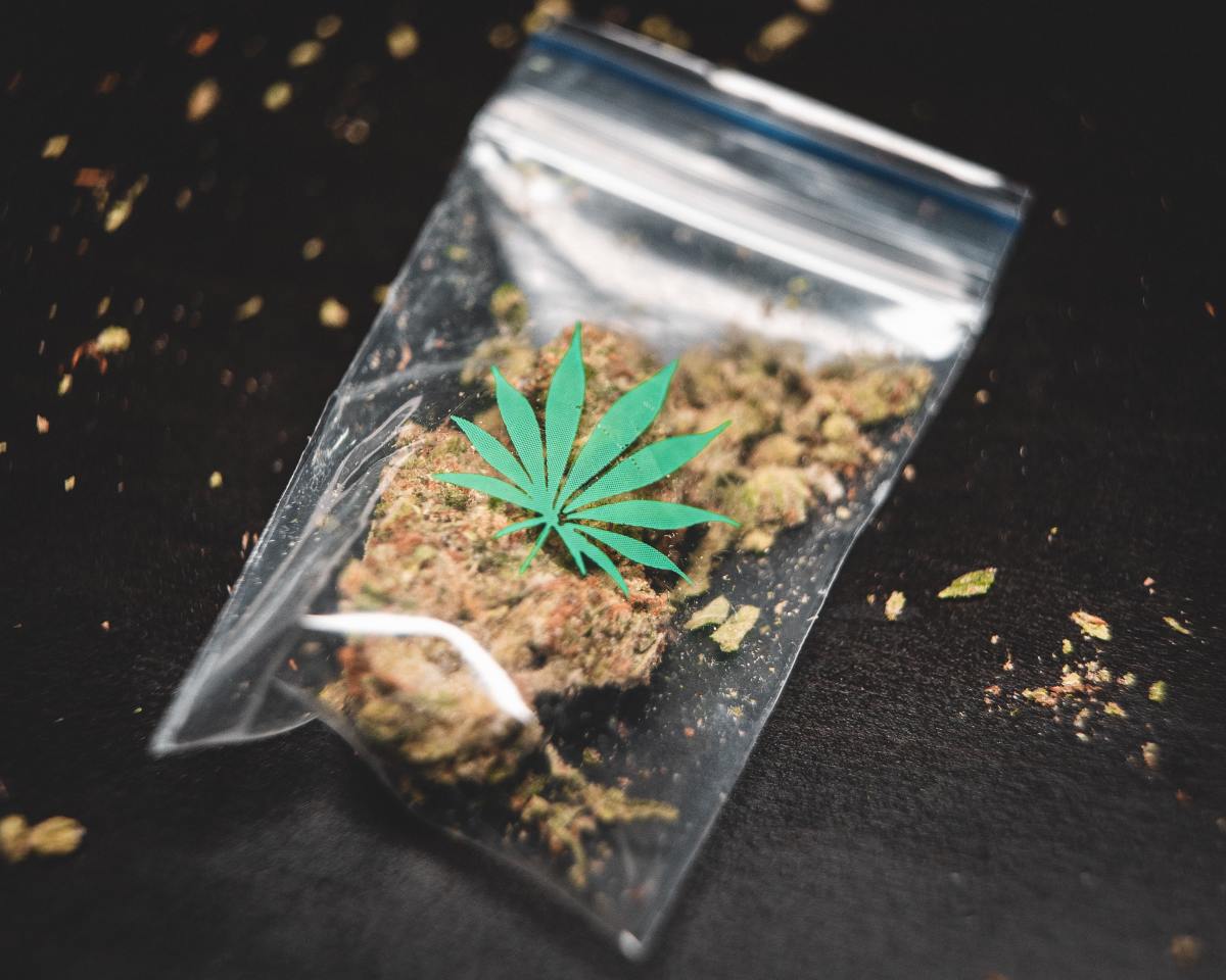 bags that dont smell like weed
