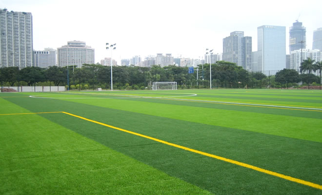 55mm Strong Artificial Grass Soccer Field / Large Sports Synthetic Grass Soccer