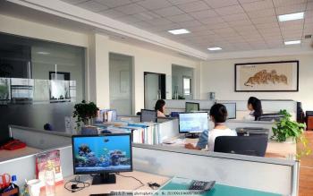 shanghai kerang technology co ltd