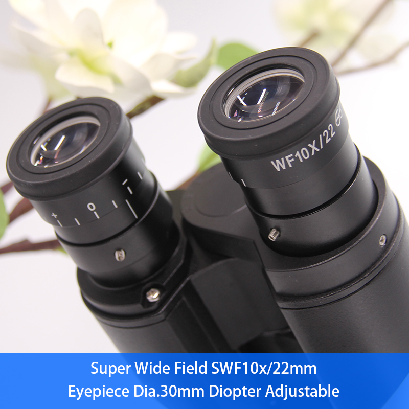 Laboratory Compound Optical Microscope 1000x