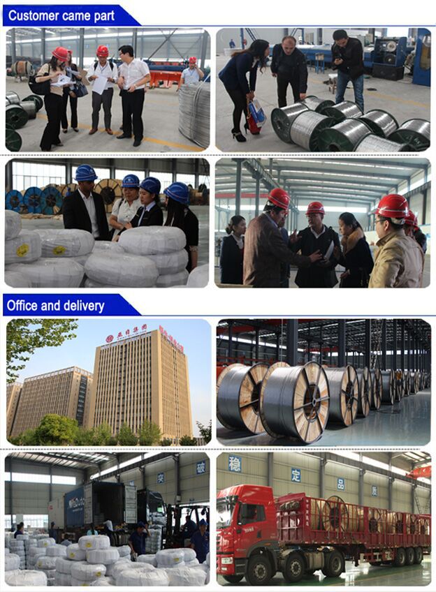 ASTM BS IEC DIN GOST Standard AAC/AAAC/ACSR/ACAR Conductor