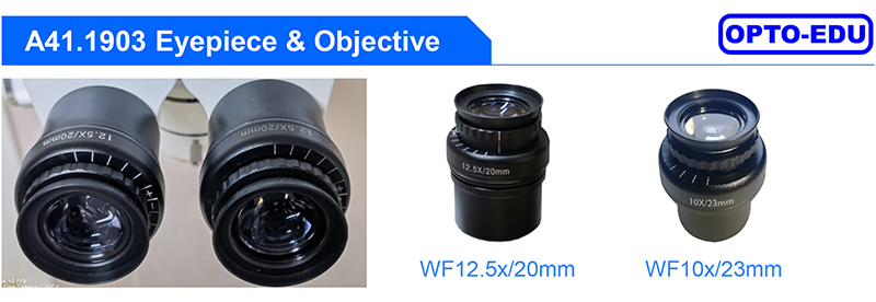 8x Eye Surgery Microscope A41.1903 50mm - 80mm Interpupillary Distance