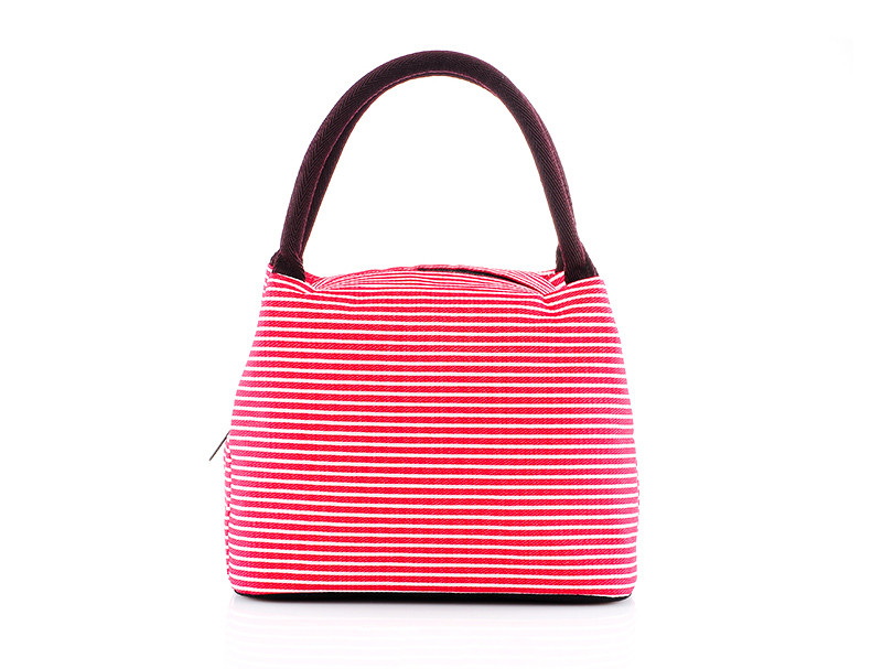 Reusable Aluminum Lining Insulated Cooler Bags