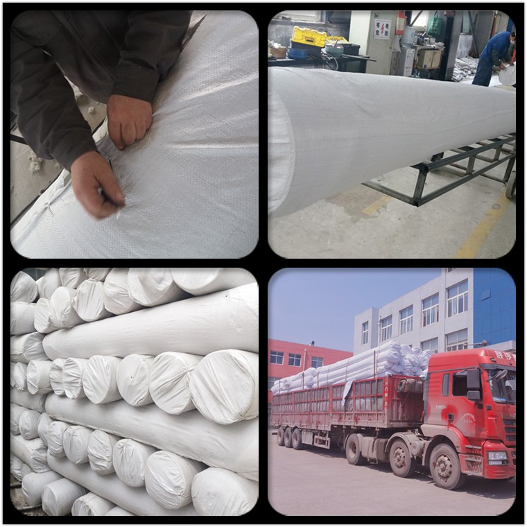 Chinese Design Style Geocomposite Drainage Sheet with CE/ISO9001/ISO14001 Certificate