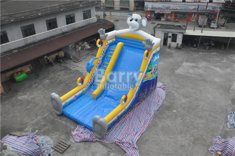 Adult Size 0.9mm PVC Inflatable Water Slide Jumping Castle Slide