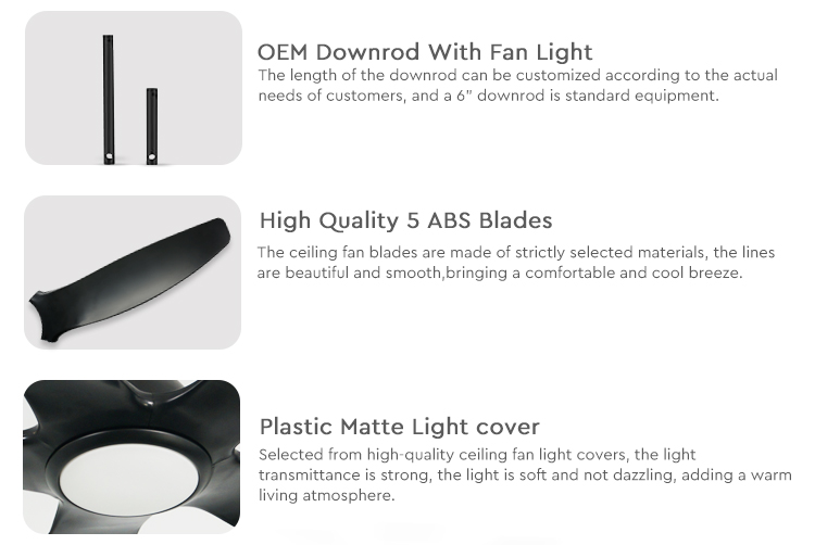 led ceiling fan