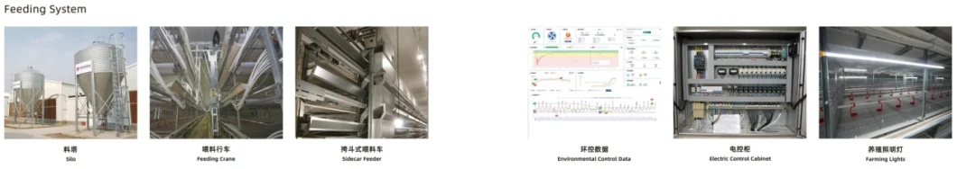 High Quality Broiler Chicken Cage Equipment
