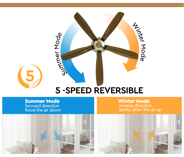 ceiling fan