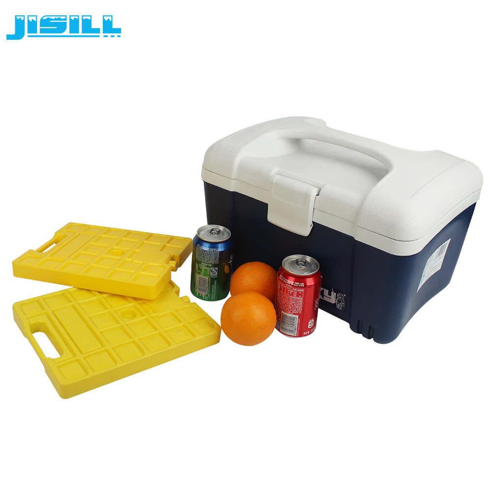 Reusable 25x20x3cm Freezer Cold Packs For Cold Chain Fresh And Transportation