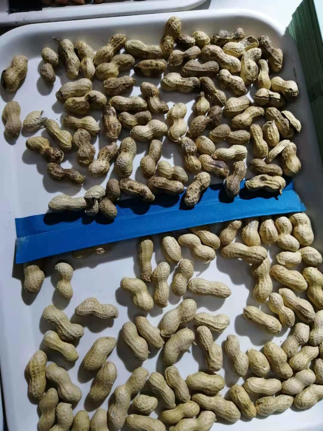 Peanut Groundnut Optical Sorting Machine High Accuracy Stainless Steel Almond Raisin Sorter