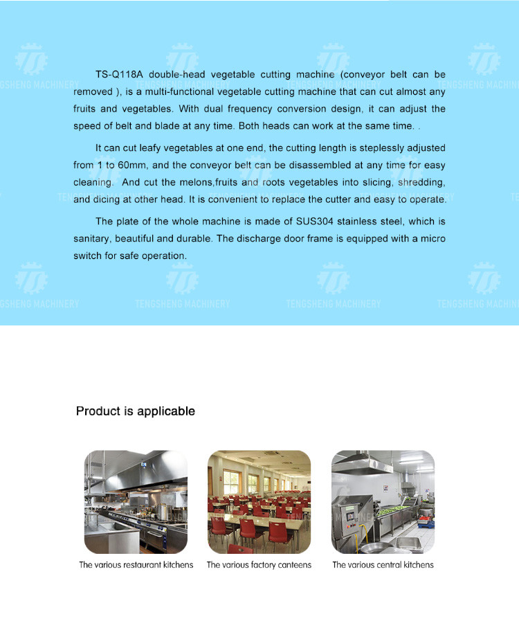 2.25kw 1000kg/h Large double - head multi-function vegetable cutter cutting leaves and fruits slices