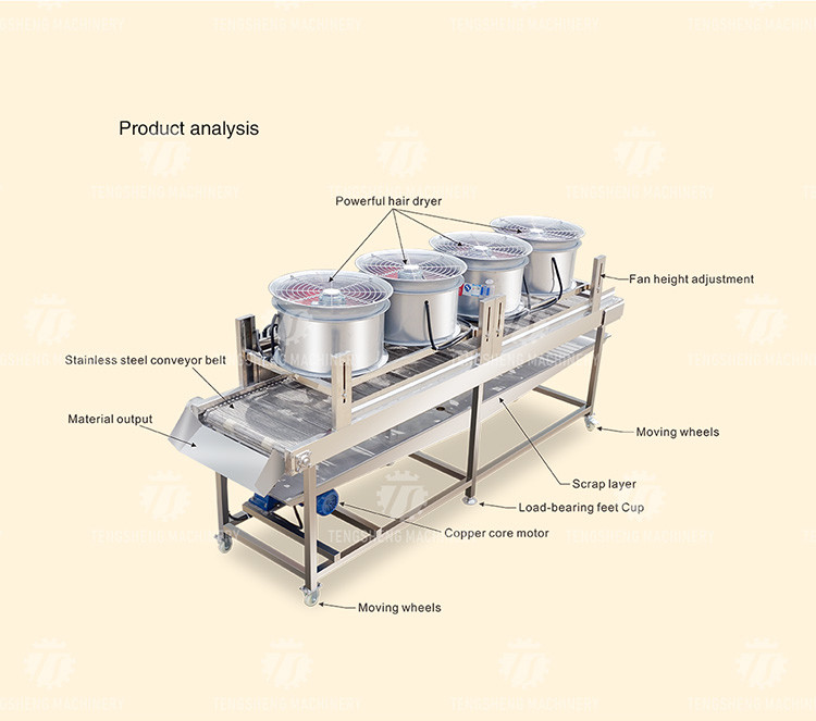 350KG Vegetable drain air drying machine stainless steel fruit and vegetable air drying complete equipment parallel type