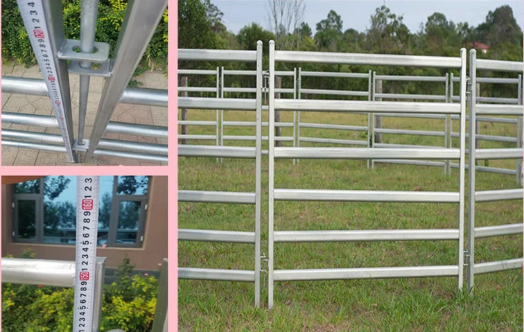 Welded 12 Foot Corral Panels Oval Tube Metal Corral Fence