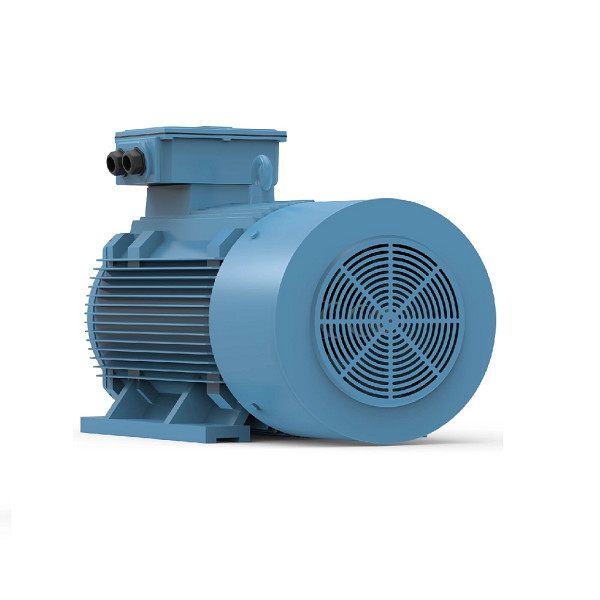 6 Pole Synchronous Motor Permanent Magnet