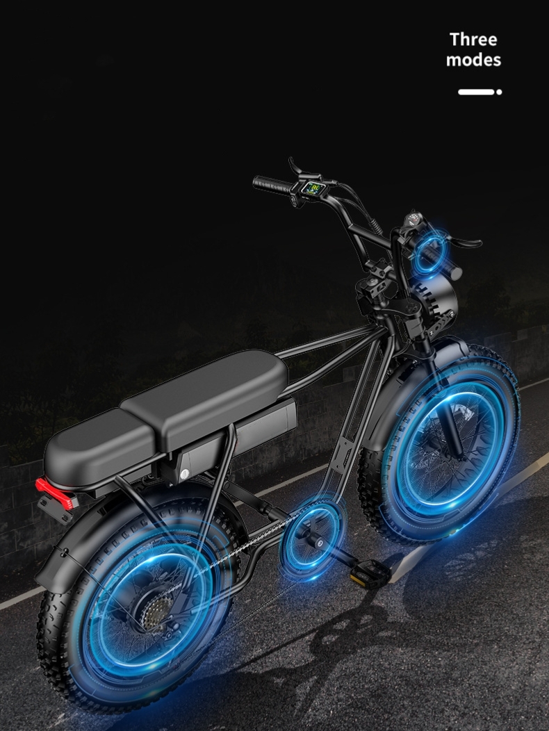 Max Speed 30-50Km/h Disc Brake Electric Fat Tire Bike 48V 400W Motor Ebike