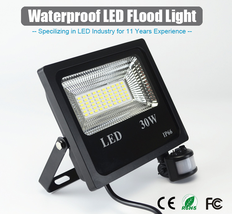 Waterproof Driver Motion Sensor Led Flood Light PIR 110lm/W 30W