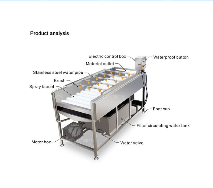 2.5KW Potato flat roller cleaning equipment seafood cleaning machine potato cleaning machine equipment