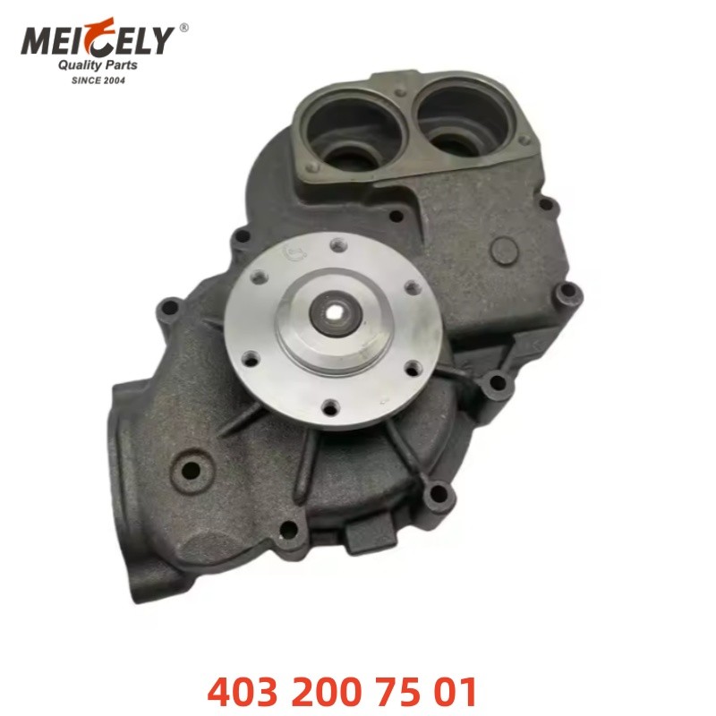 High-Quality Water Pump Engine Parts 4222001001 / 4222001101 For Merceds-Benz